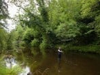 River River
